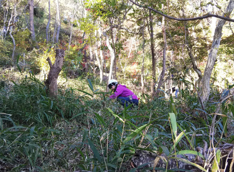 ECOWAYの森 森林整備活動